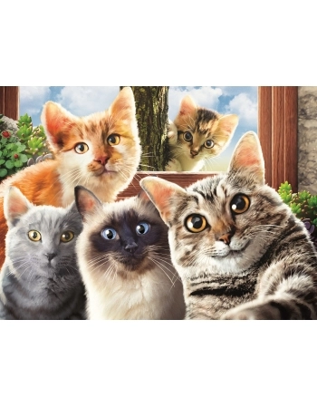 P. 500 PÇS SELFIE GATOS 4397