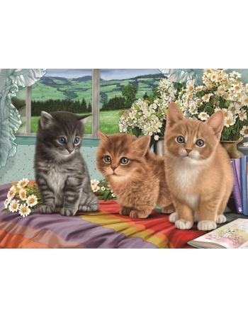 P. 60 PÇS GATINHOS FOFINHOS